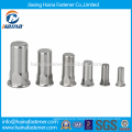 Stainless Steel Flat Head Semi-Hexagonal Blind Rivet Nuts